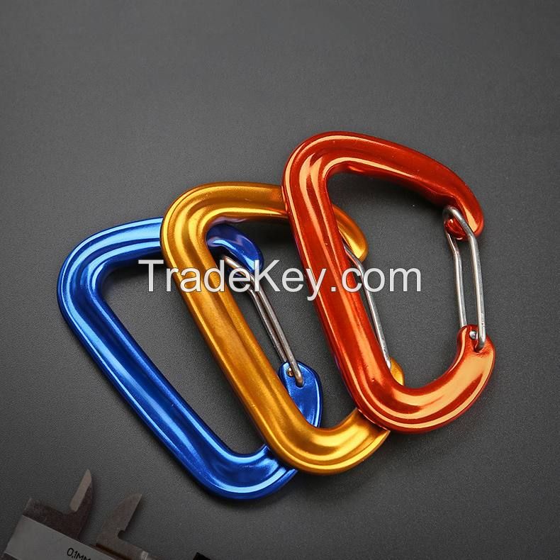 Custom D Type Spring Carabiner Hook