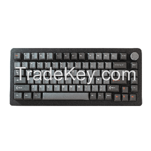 DrunkDeer A75 Pro Silent Magnetic Switch Gaming Keyboard, Rapid Trigger TKL Mechanical Keyboard , Compact 82 Keys