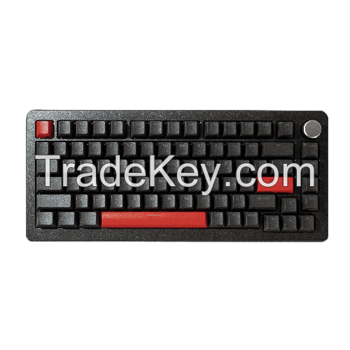 DrunkDeer A75 Pro Silent Magnetic Switch Gaming Keyboard, Rapid Trigger TKL Mechanical Keyboard , Compact 82 Keys