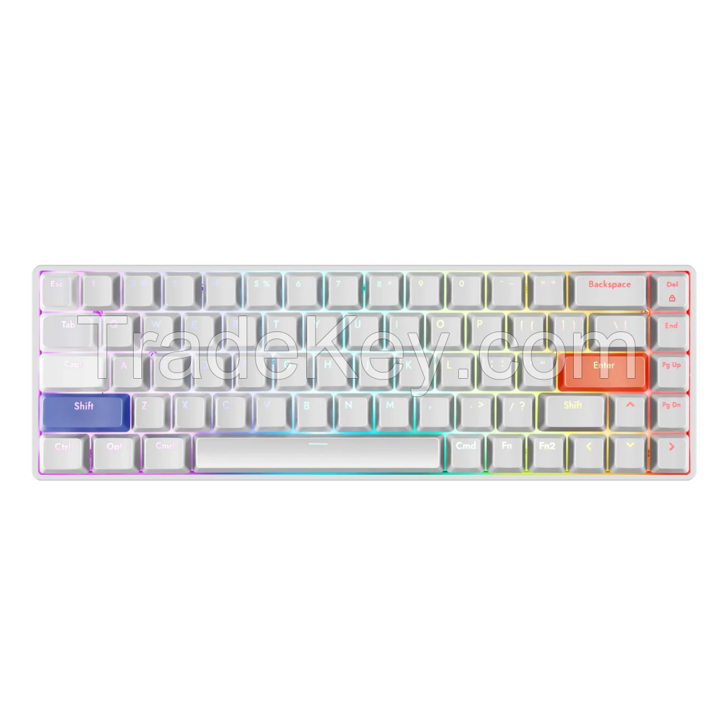 DrunkDeer G65 Mechanical Keyboard, Rapid Trigger TKL Gaming Keyboards, Hyper Fast Magnetic Switch Keyboard, RGB Compact 68 Keys