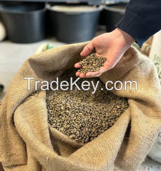 Specialty Arabica Semi Washed Wash Process Green Coffee Beans