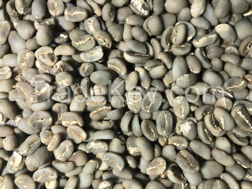 Specialty Arabica Semi Washed Wash Process Green Coffee Beans