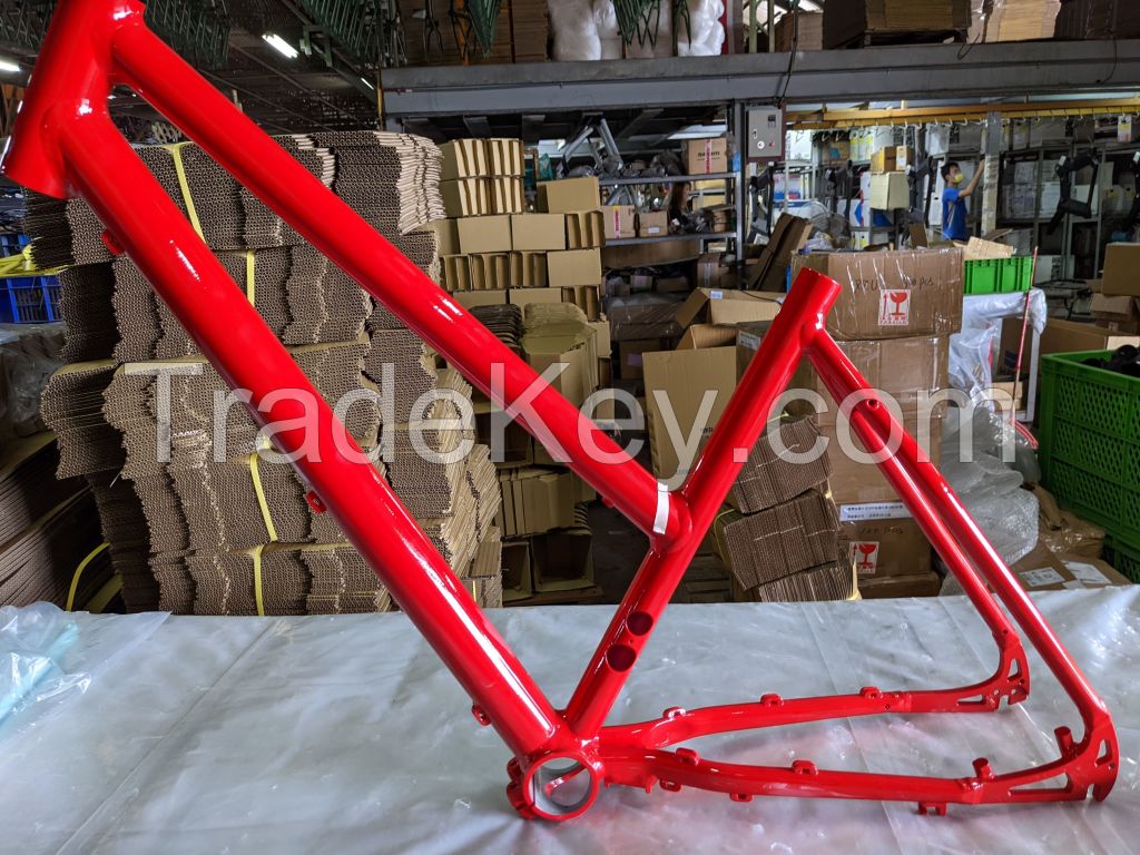 electric bicycle (Ebike) frame