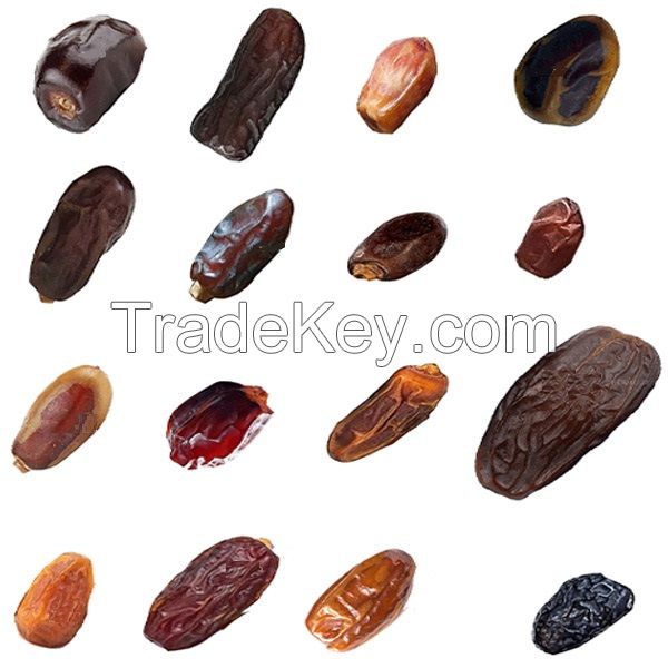 fresh Premium Dates-Dried Dates