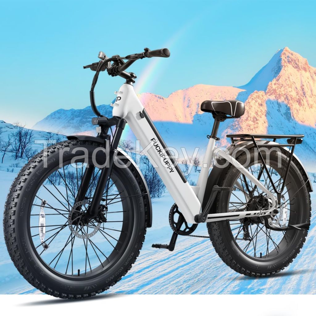 TotGuard Electric Commuter Bike