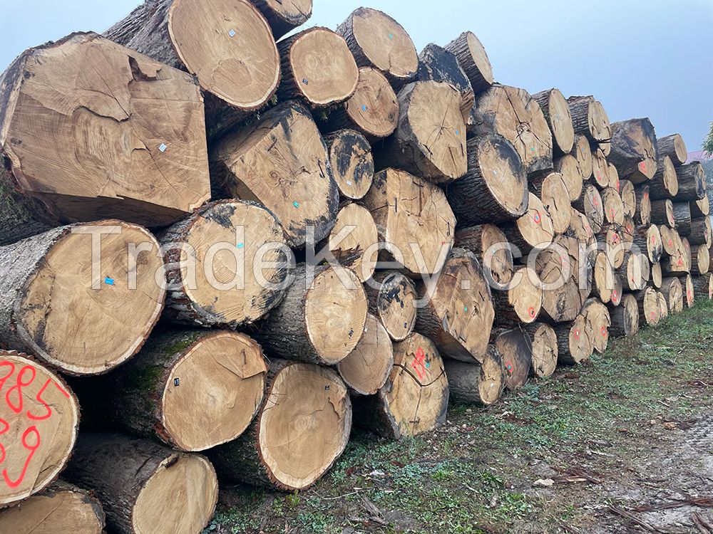 Hardwood Logs and Sawn Timber