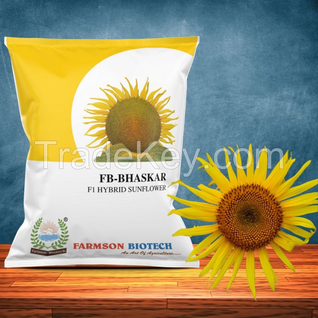 FB-BHASKAR F1 HYBRID SUNFLOWER SEEDS