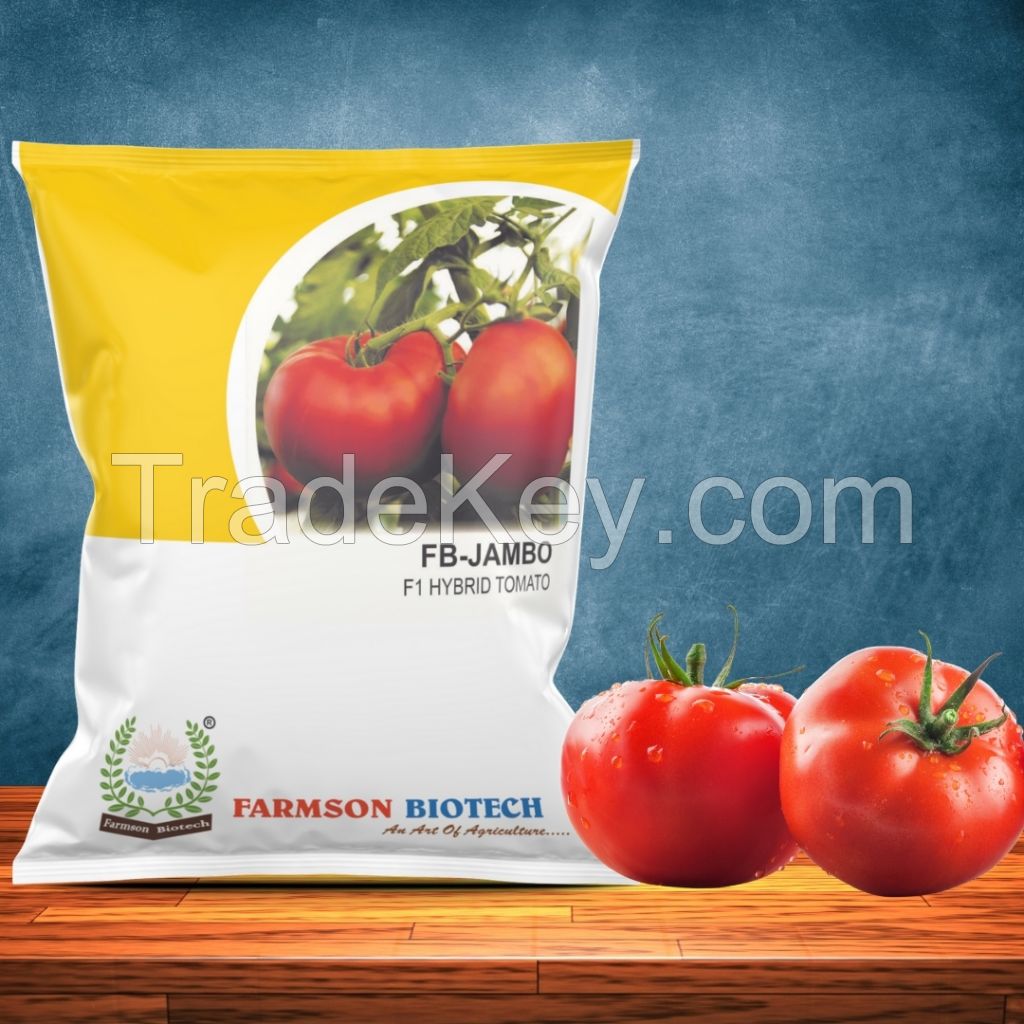 FB-JAMBO F1 HYBRID TOMATO SEEDS (BIG ROUND AND RED)