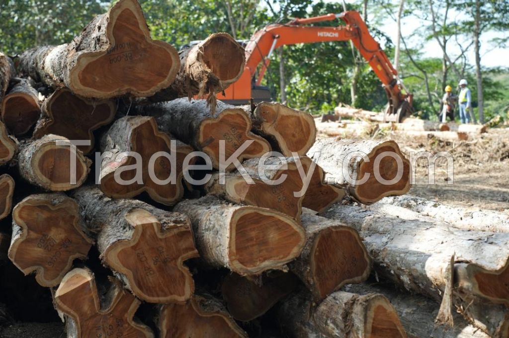 Teak logs