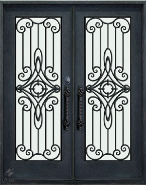 Entrance Doors(#302)