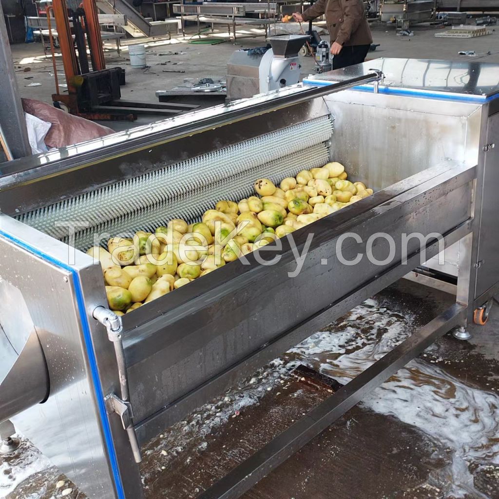 Potato Peeler Machine 600