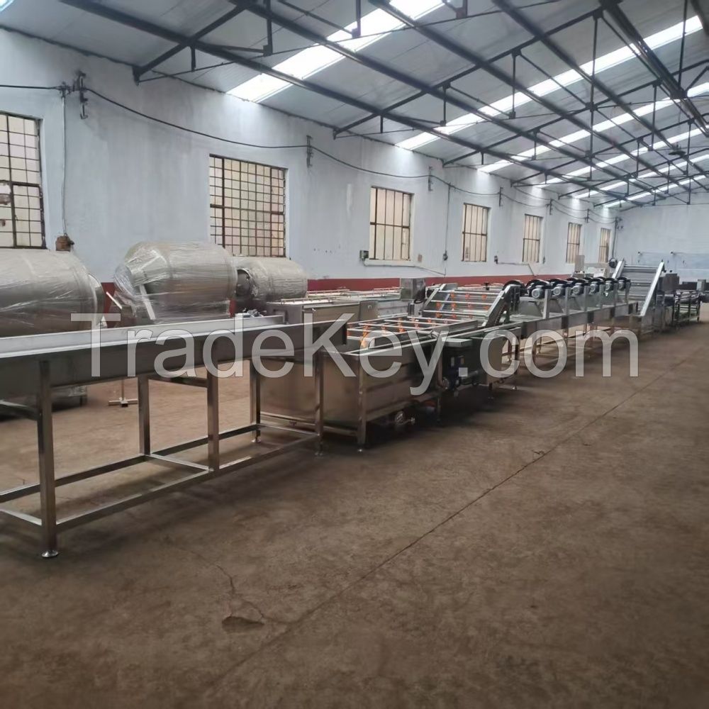 Potato Washing Line