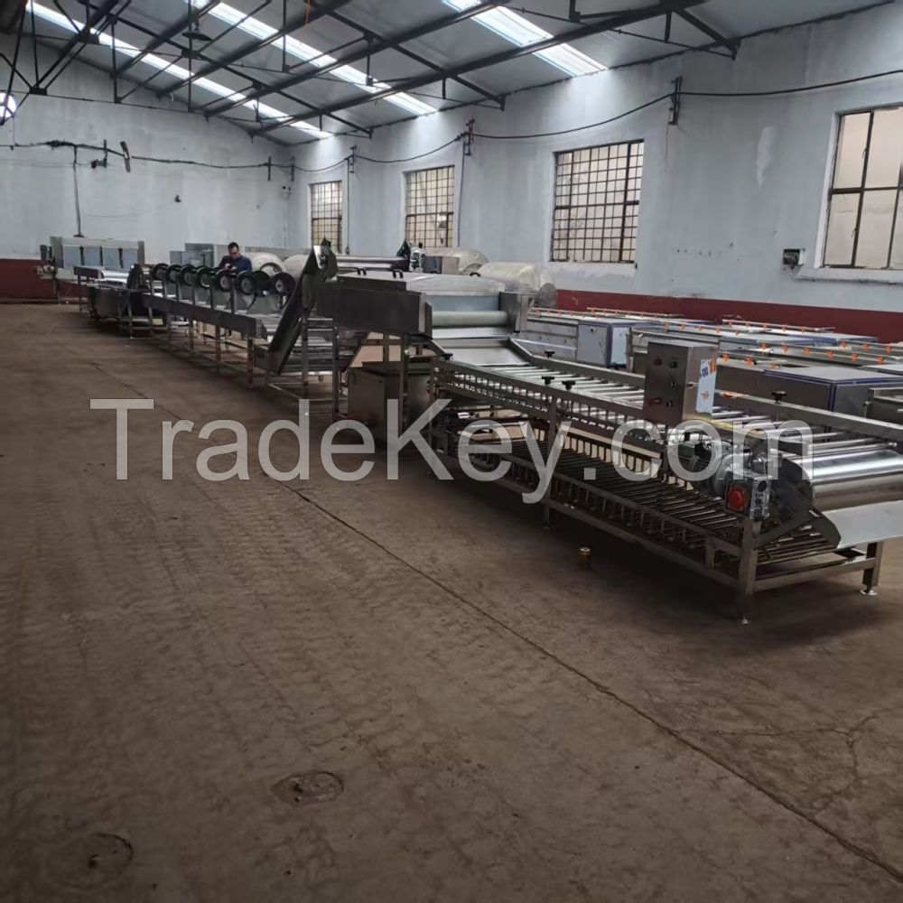 Potato Washing Line