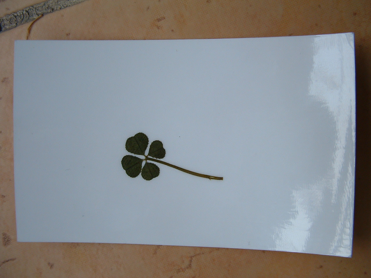 paper good luck card