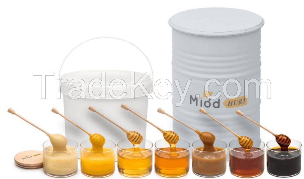 Wholesale Honey