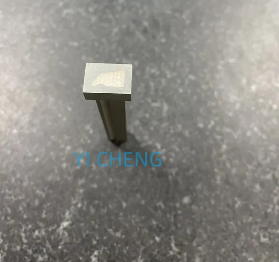High-Quality Automotive Precision Mold Parts for Global Distribution