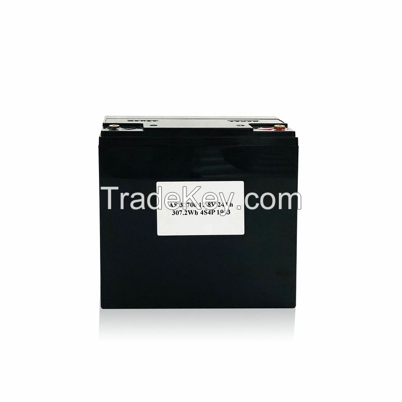 12V 24Ah Lithium Iron Phosphate Battery Rechargeable 12.8V LiFePo4 Battery Pack