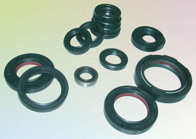 Oil Seal