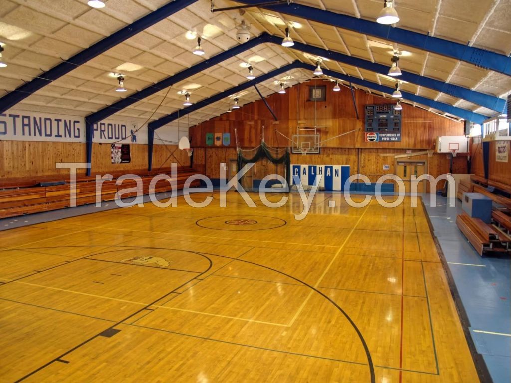 Steel Structure Basketball Stadium /Basketball Gym 