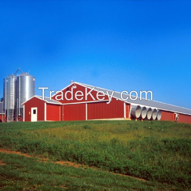 Prefabricated Steel Poultry House 