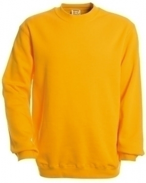 Sell Set-In Sweatshirt