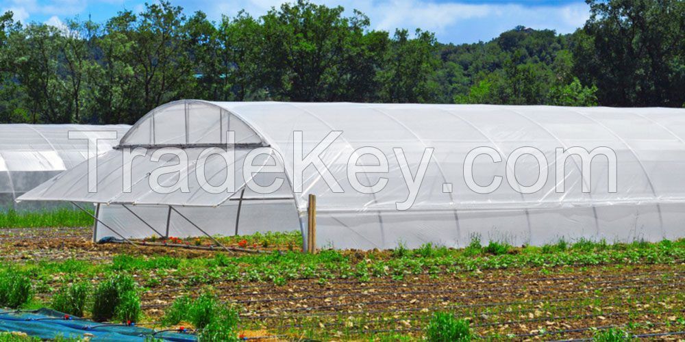 greenhouse and mulch films