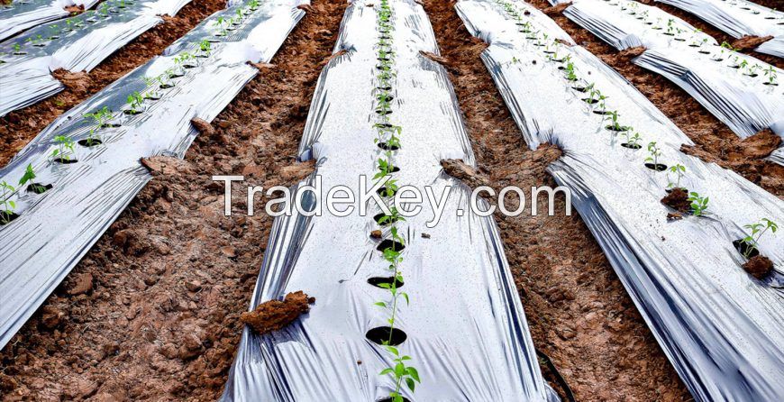 greenhouse and mulch films