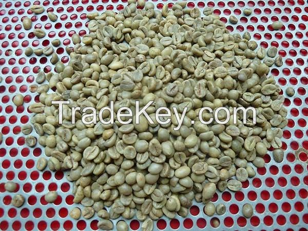 Robusta green coffee beans