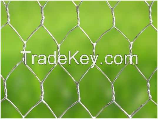 Galvanised Steel Wire with A Hexagonal Shape Mesh/Hexagonal Galvanised Wire Netting