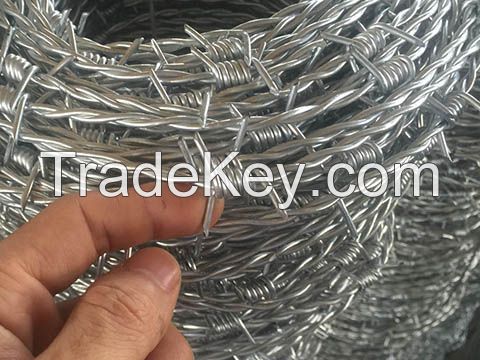 Galvanized Razor Wire Fence/Eletric Barbed Wire Fence for Farming