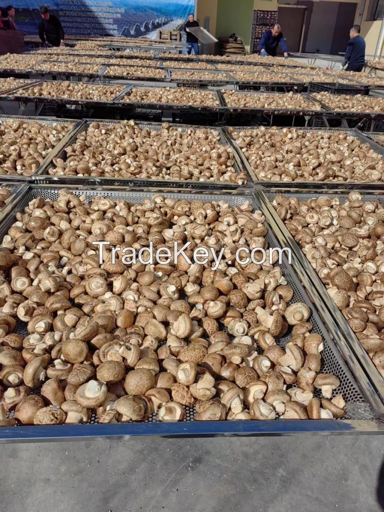 Fresh mushroom , Dried mushroom , Truffles, Black fungus , Agricultural products