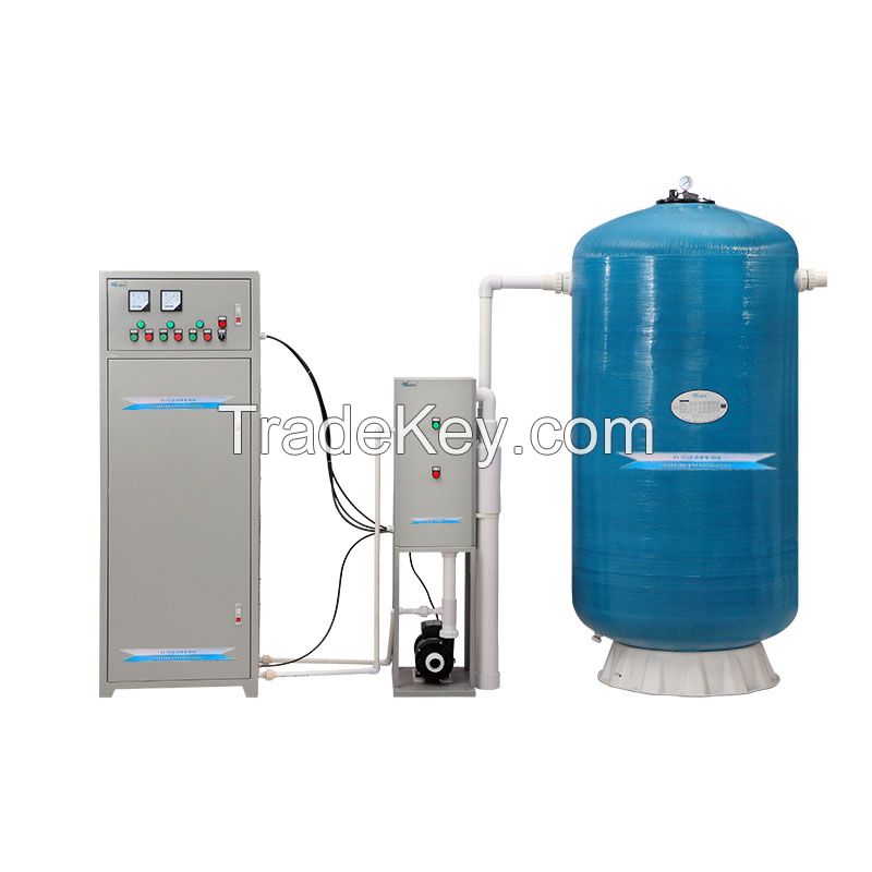 Swimming pool water ozone disinfection filtration system