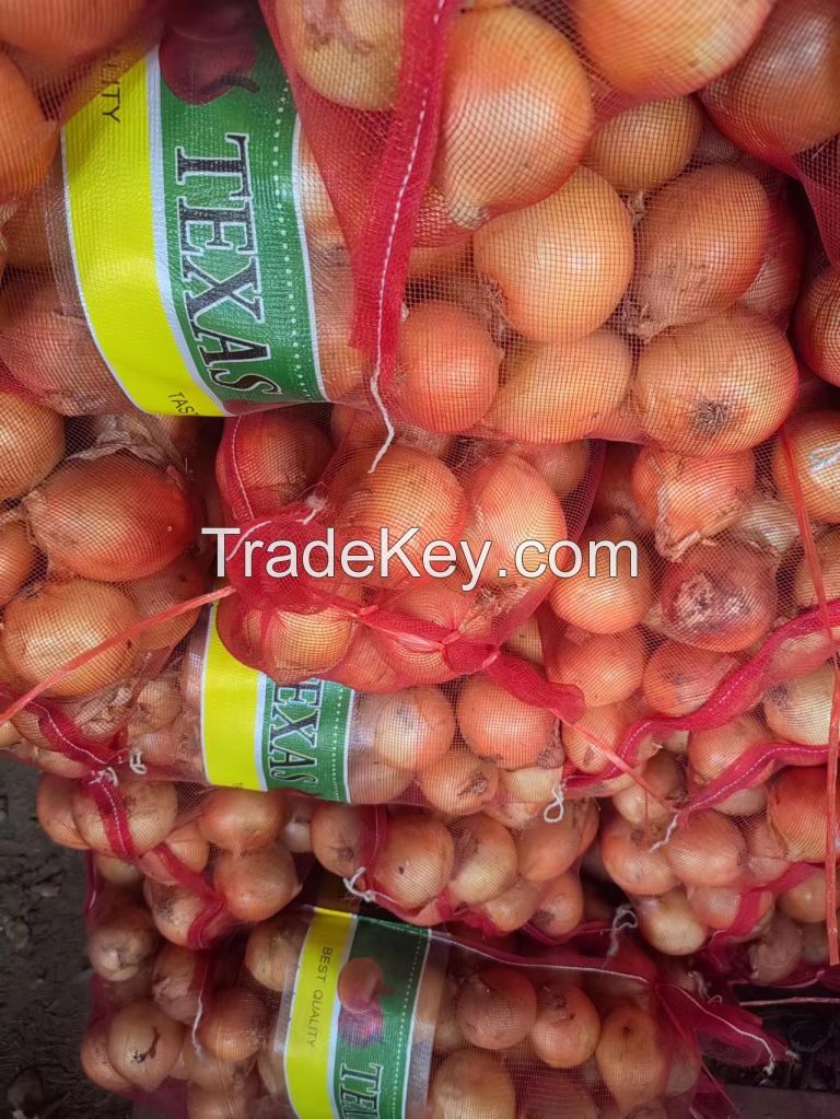 High-quality red and yellow onions