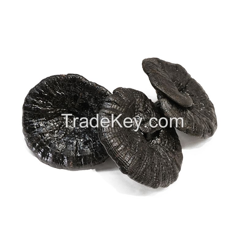 Hong Kong Qitai Wild Ganoderma Lucidumï¼ˆ100gï¼‰