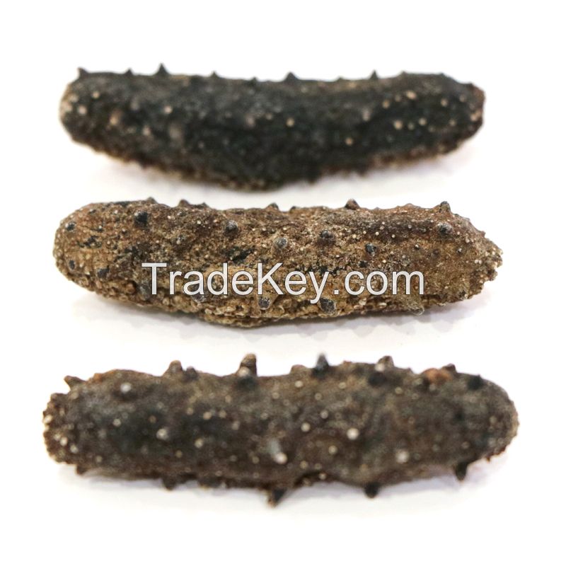 Hong Kong Qitai Liaoning Sea Cucumber No.2(200g)