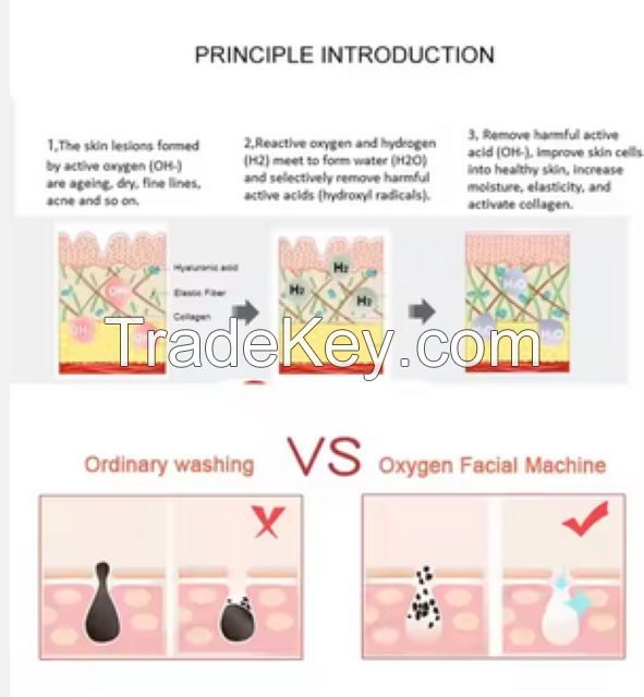 6 in 1 Small Bubble Vertical Hydra Dermabrasion Oxygen Facial Rejuvenation Machines 6 Heads Ultra Micro Bubble Cleaner Sink Peel
