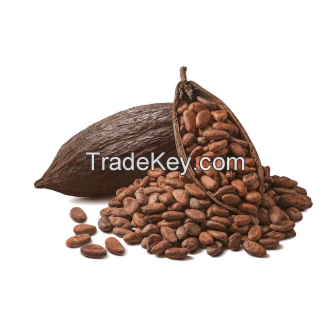 Selling Cocoa beans in cheap price 