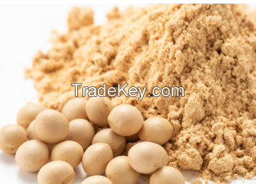 Soybean meal for Sale 