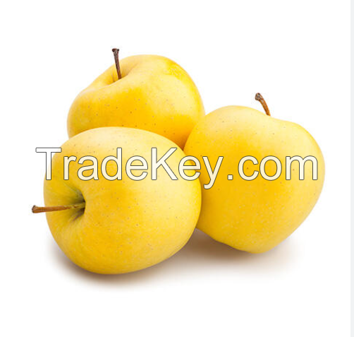 Golden Delicious Apple in cheap rate 