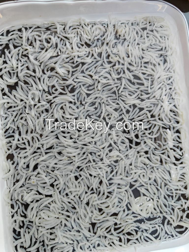 Basmati Rice 