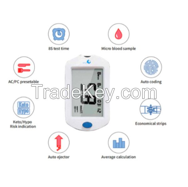 Blood Glucose Meter