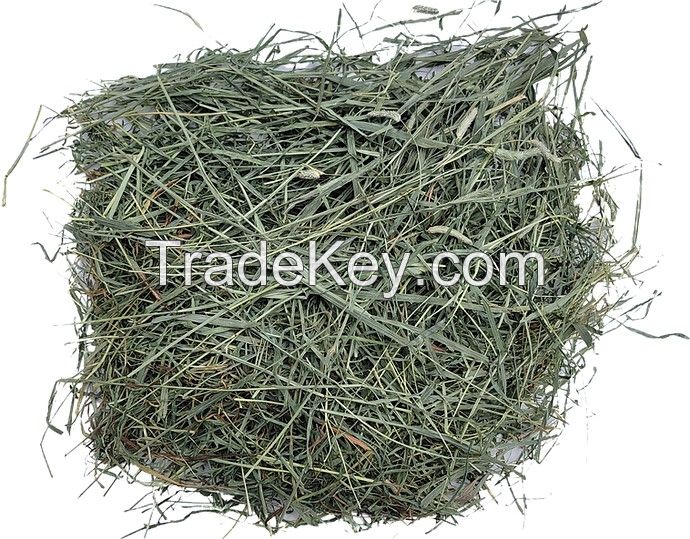 Hay (Alfalfa, Timothy)