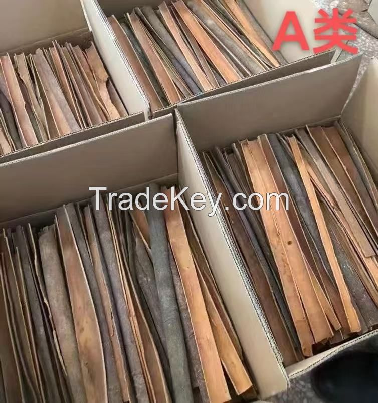 Cassia seed, Chinese Cassia seed