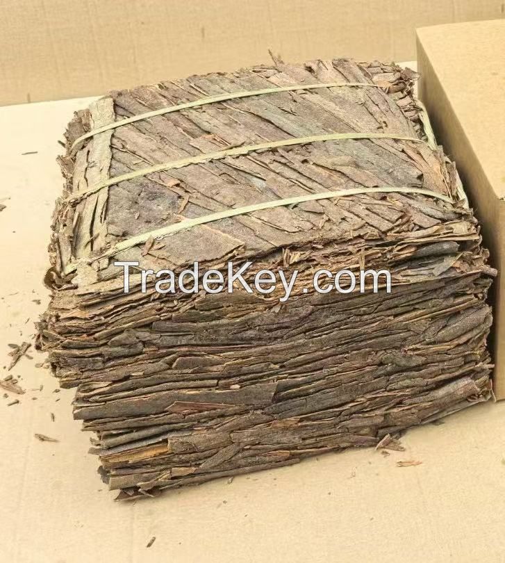 Cassia seed, Chinese Cassia seed