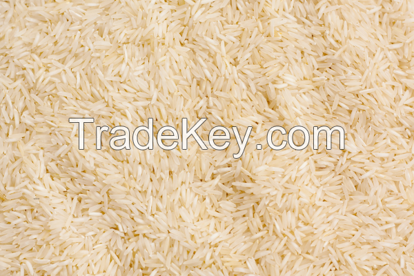 IRRI-6 White Rice Premium Quality Export