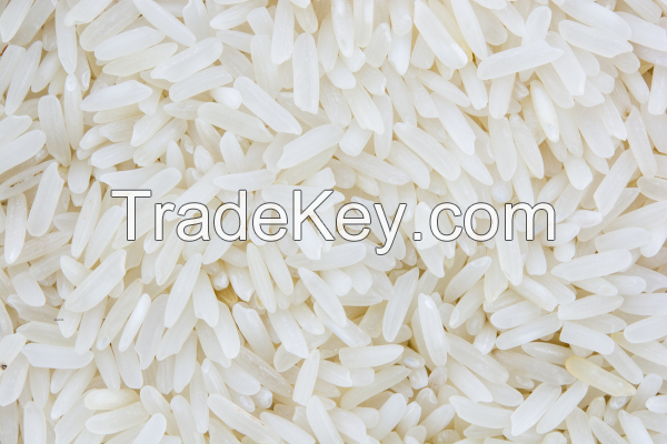 IRRI-6 White Rice Premium Quality Export