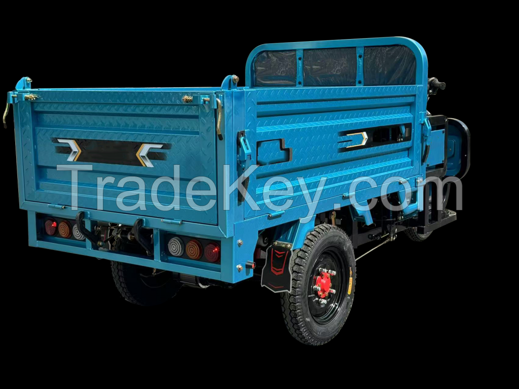 Three Wheeler and Tricyle OEM&amp;ODM Manufacturing Services