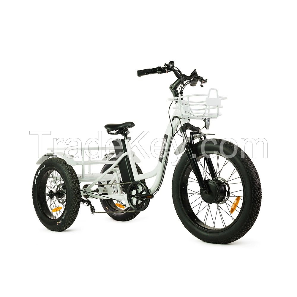 T4B trike