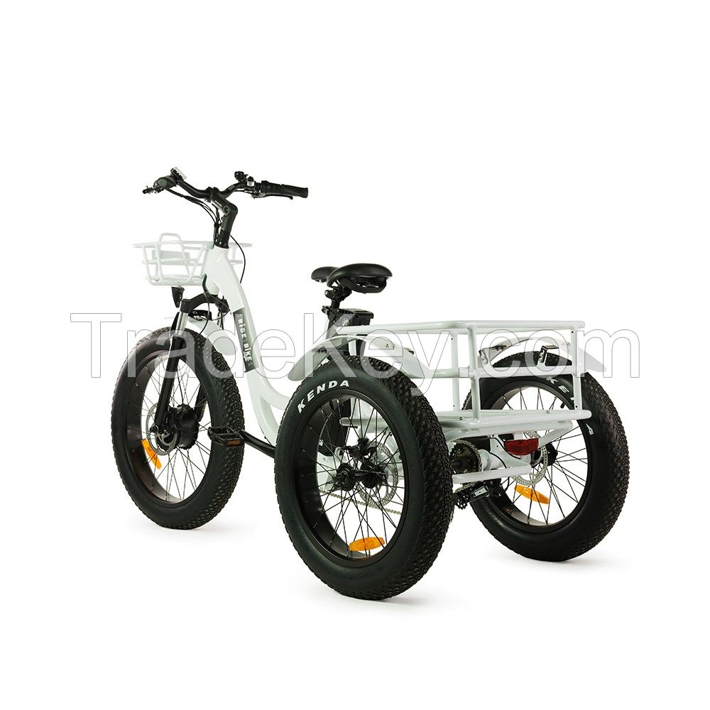 T4B trike