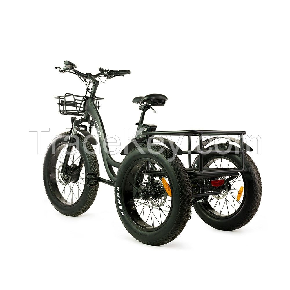 T4B trike